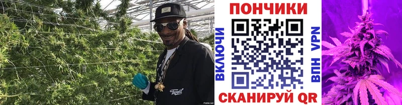 как найти наркотики сайты даркнета клад Шишки марихуана AK-47 Кодинск